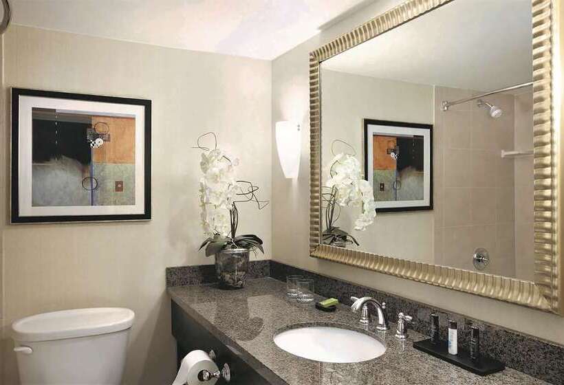 سوئیت پریمیوم, Embassy Suites By Hilton Scottsdale Resort