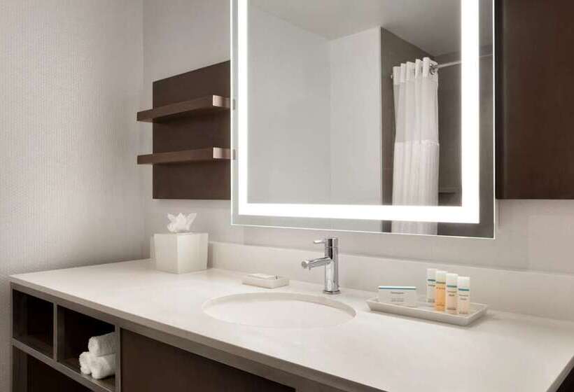 اتاق استاندارد با تخت بزرگ, The Highland Dallas, Curio Collection By Hilton