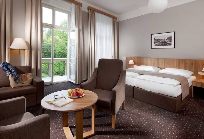 اتاق استاندارد یک نفره, Badenia Hotel Praha