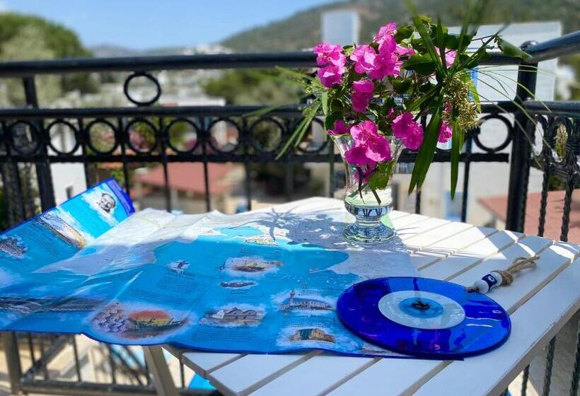 آپارتمان 1 خوابه, Merve Apartments, Your Home From Home In Central Bodrum, Street Cats Frequent The Property, Not All