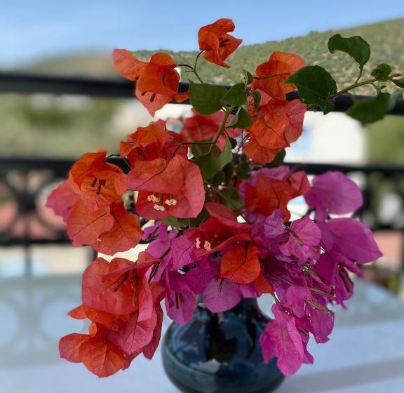 آپارتمان 1 خوابه, Merve Apartments, Your Home From Home In Central Bodrum, Street Cats Frequent The Property, Not All