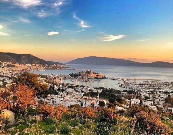 آپارتمان 1 خوابه, Merve Apartments, Your Home From Home In Central Bodrum, Street Cats Frequent The Property, Not All