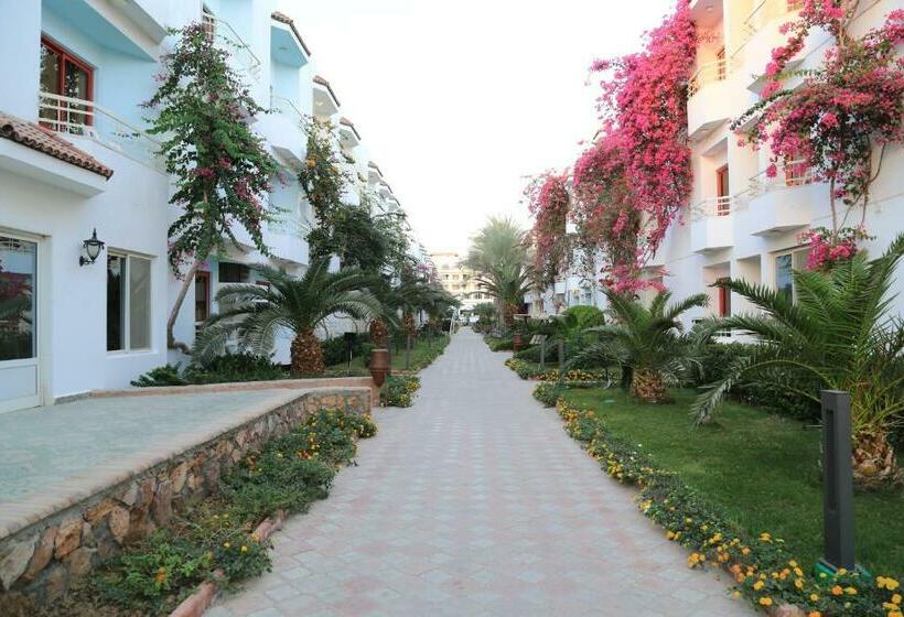 اتاق استاندارد سه نفره با چشم‌انداز کنار دریا, Minamark Beach Resort For Families And Couples Only