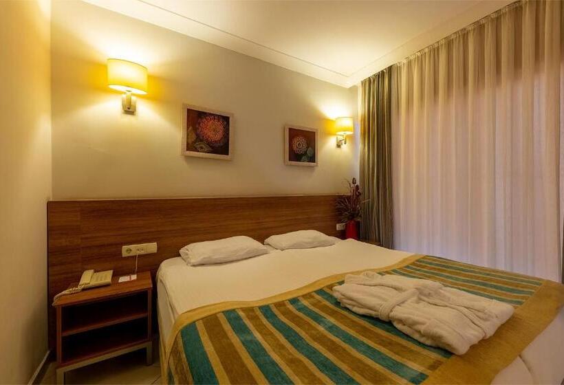 اتاق استاندارد با بالکن, Viking Express