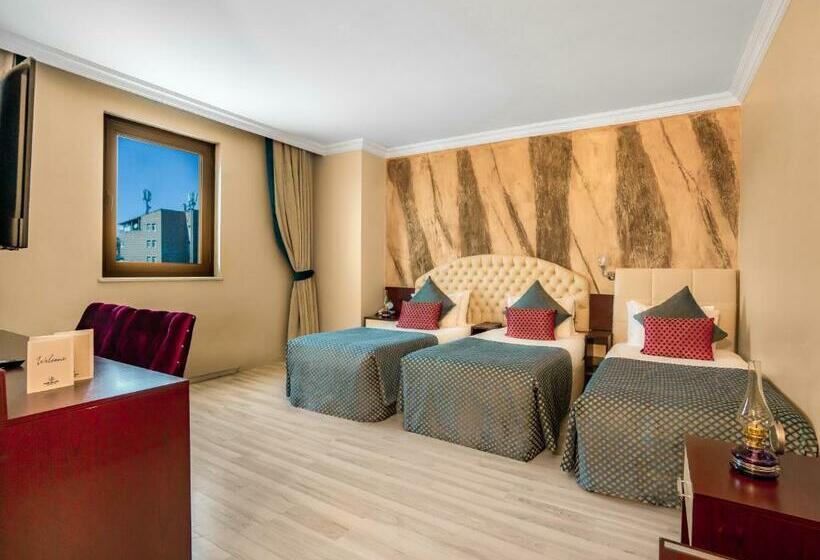 اتاق استاندارد سه نفره, Grand Ani̇