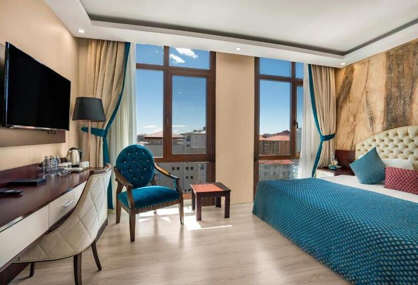 اتاق استاندارد, Grand Ani̇
