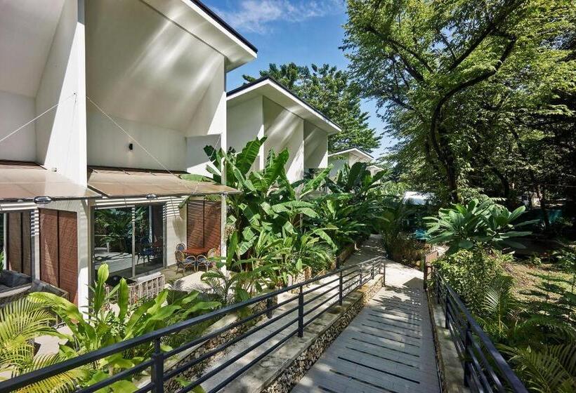 اتاق استاندارد, Natura Loft Garden
