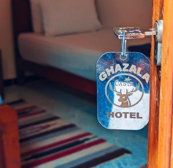 اتاق استاندارد یک نفره, Ghazala Oasis