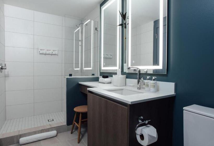 آپارتمان سوپریور 1 خوابه, Mint House Miami  Downtown