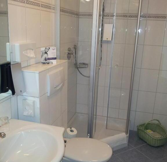 اتاق استاندارد یک نفره, Berghotel Hammersbach