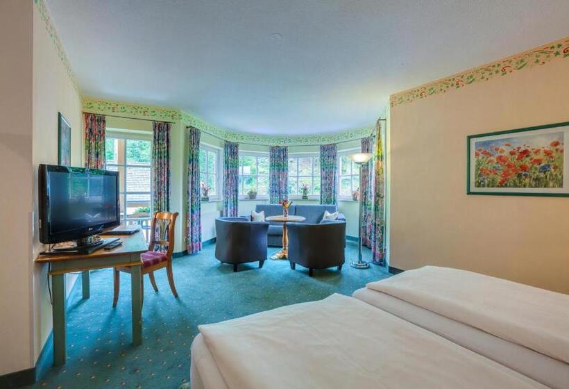 اتاق سوپریور, Berghotel Hammersbach