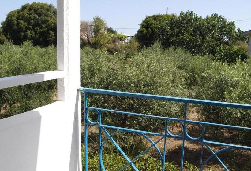 اتاق استاندارد, Summer Dream