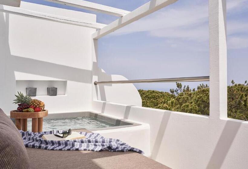 اتاق پرمیوم, Loizos Stylish Residences