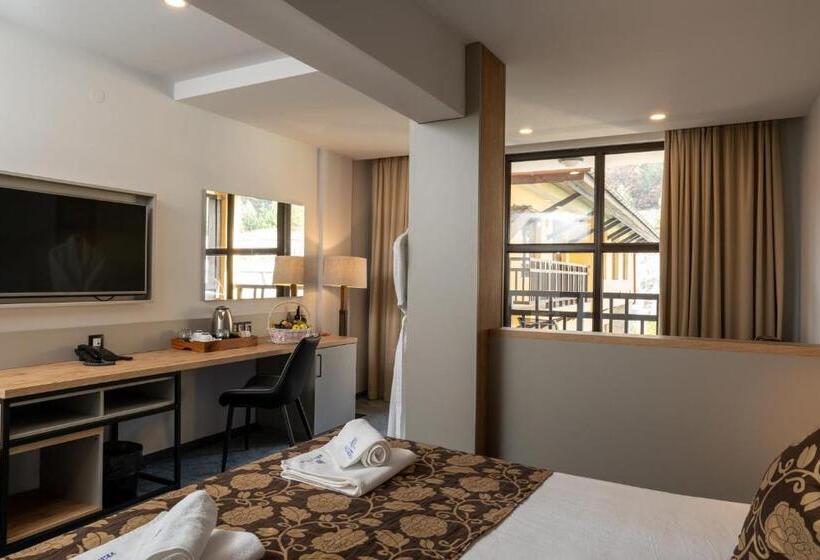 اتاق لوکس با چشم‌انداز, Grand Hotel Velingrad