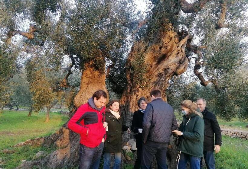 شقة غرفة واحدة, Agriturismo Salinola