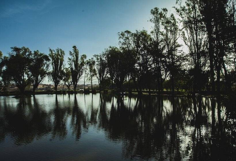 Номер Superior, Bth Hotel Arequipa Lake