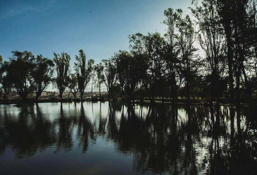 Chambre Supérieure, Bth  Arequipa Lake