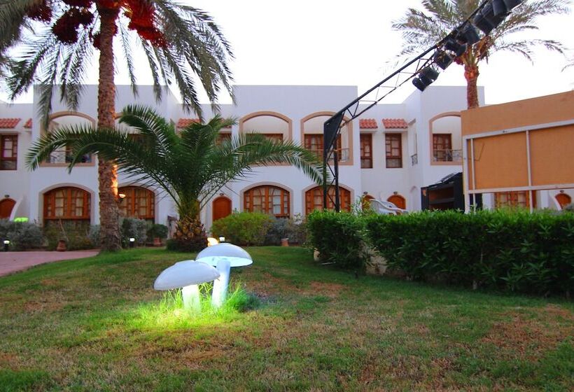 Habitación Estándar Vista Piscina, Coral Hills Resort Sharm Elsheikh