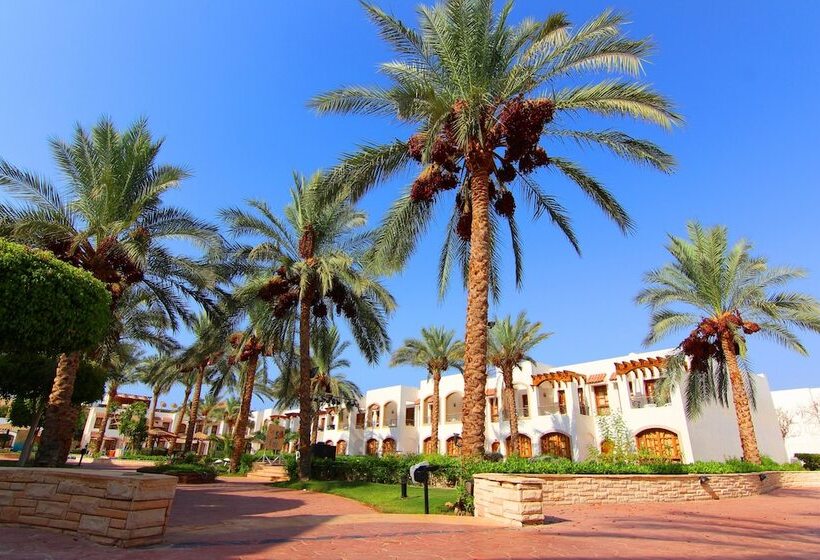 Standard Room Pool View, Coral Hills Resort Sharm Elsheikh