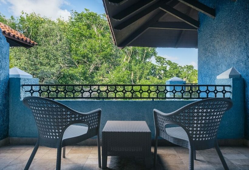 سوییت جونیور, Iberostar Waves Paraíso Beach