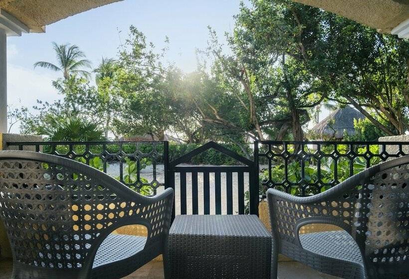 سوییت جونیور, Iberostar Waves Paraíso Beach
