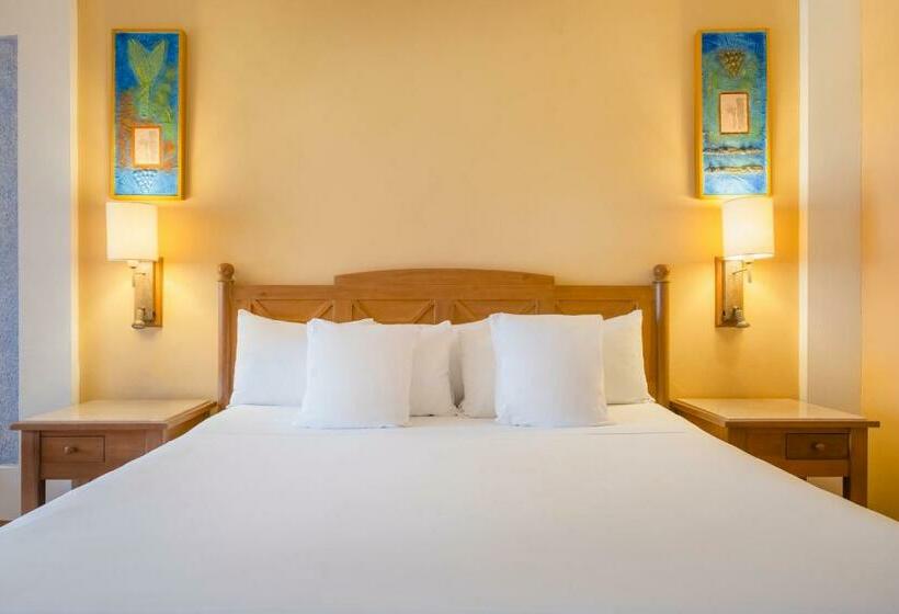 اتاق استاندارد, Iberostar Selection Paraíso Lindo