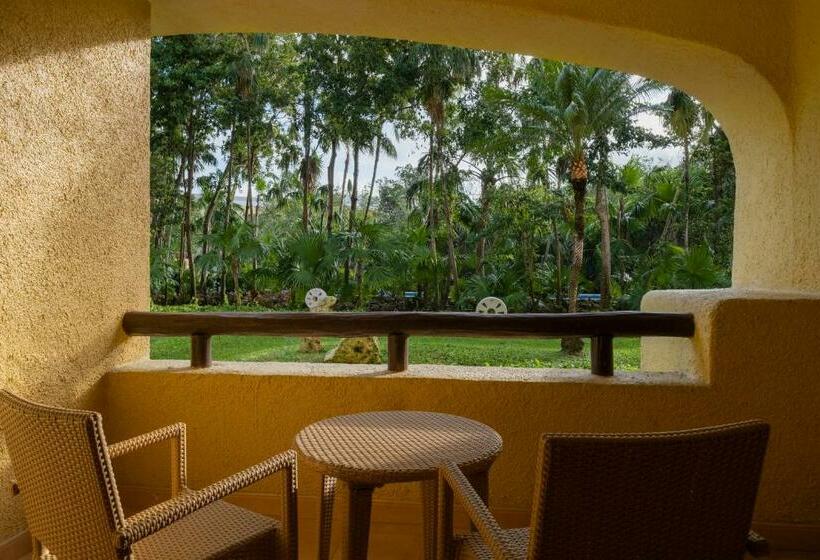 اتاق استاندارد, Iberostar Selection Paraíso Lindo