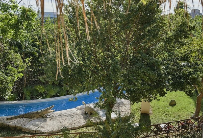 اتاق استاندارد, Iberostar Selection Paraíso Lindo