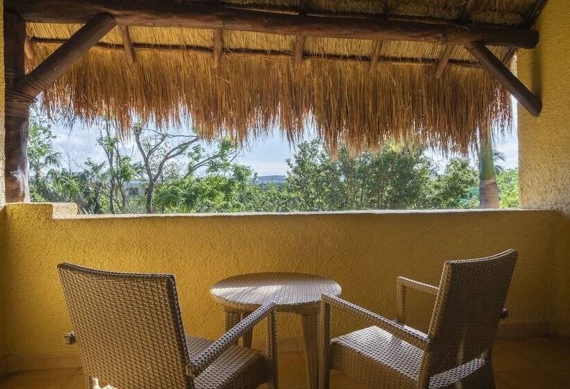 اتاق استاندارد, Iberostar Selection Paraíso Lindo