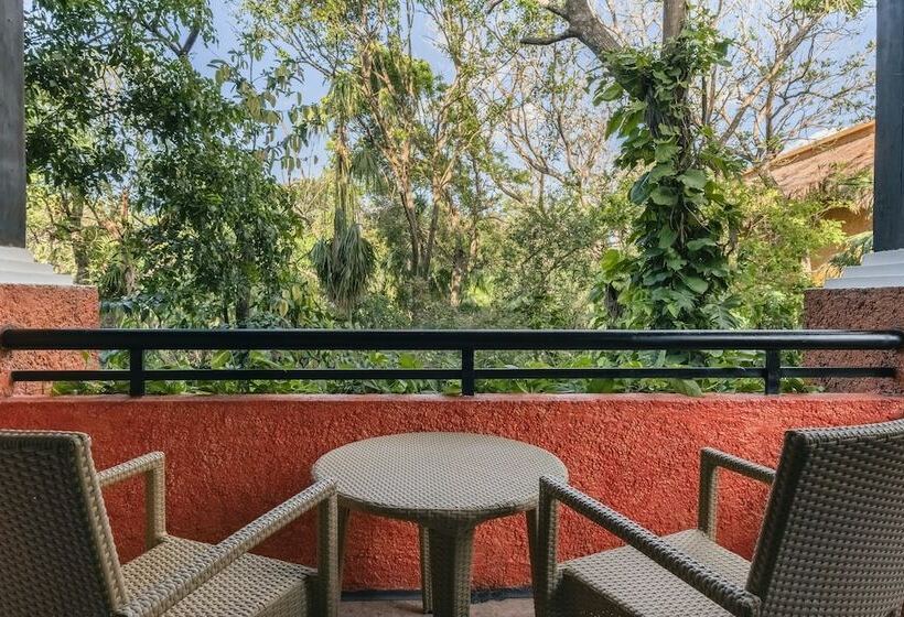 سوییت جونیور, Iberostar Waves Tucán