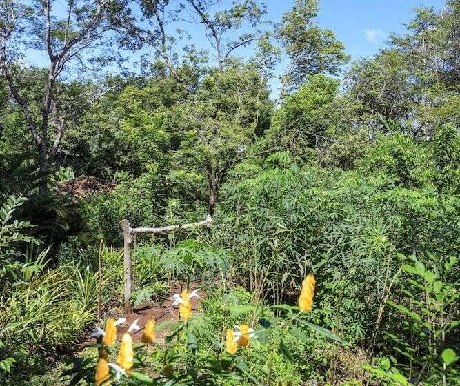 Superior bungalow garden view, Pousada Canto No Bosque