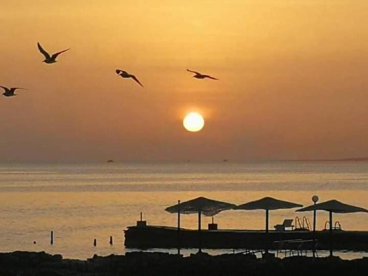 اتاق استاندارد با چشم‌انداز دریا, Sea Star Beau Rivage