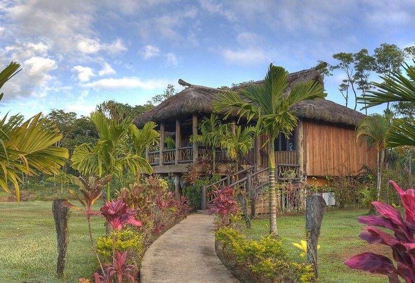 تختخواب در اتاق مشترک, Uprising Beach Resort