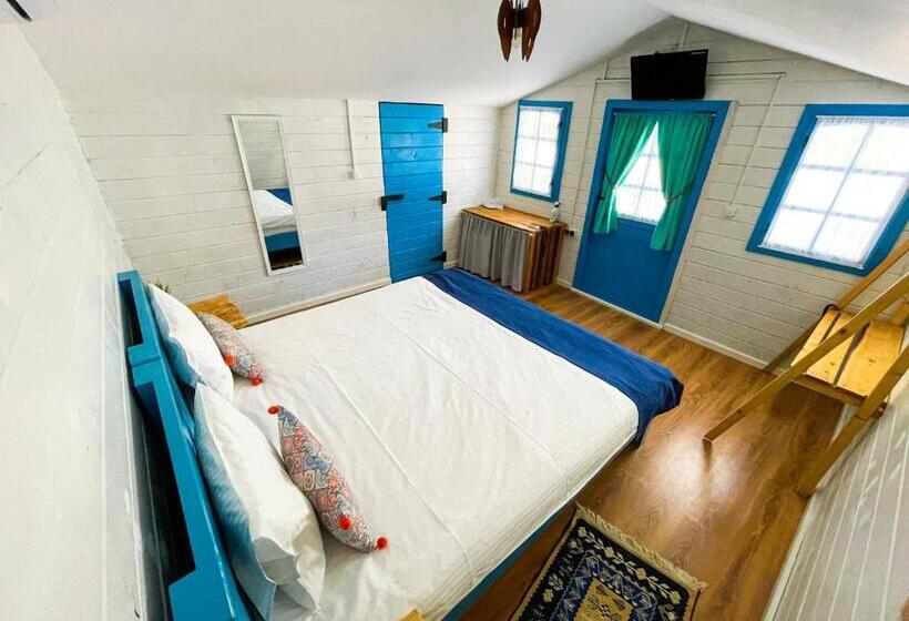 اتاق استاندارد, Manu B&b
