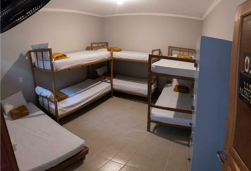 تختخواب در اتاق مشترک, Hostel Diniz