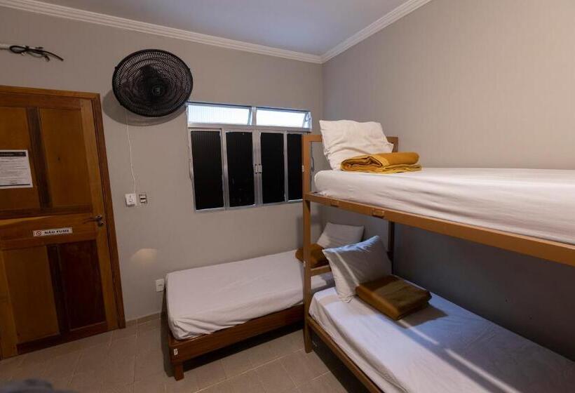 تختخواب در اتاق مشترک, Hostel Diniz