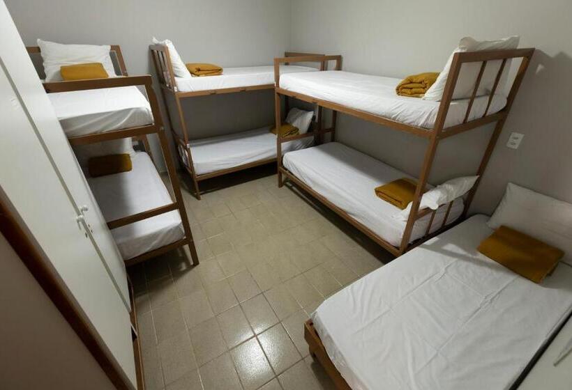 تختخواب در اتاق مشترک, Hostel Diniz