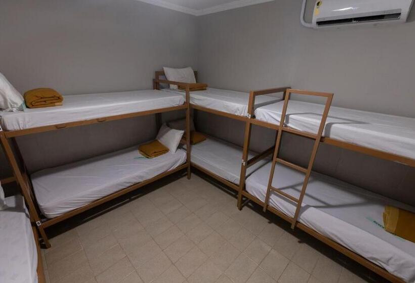 تختخواب در اتاق مشترک, Hostel Diniz