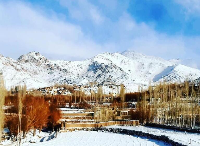 اتاق استاندارد با چشم‌انداز باغ, Ladakh Country Inn