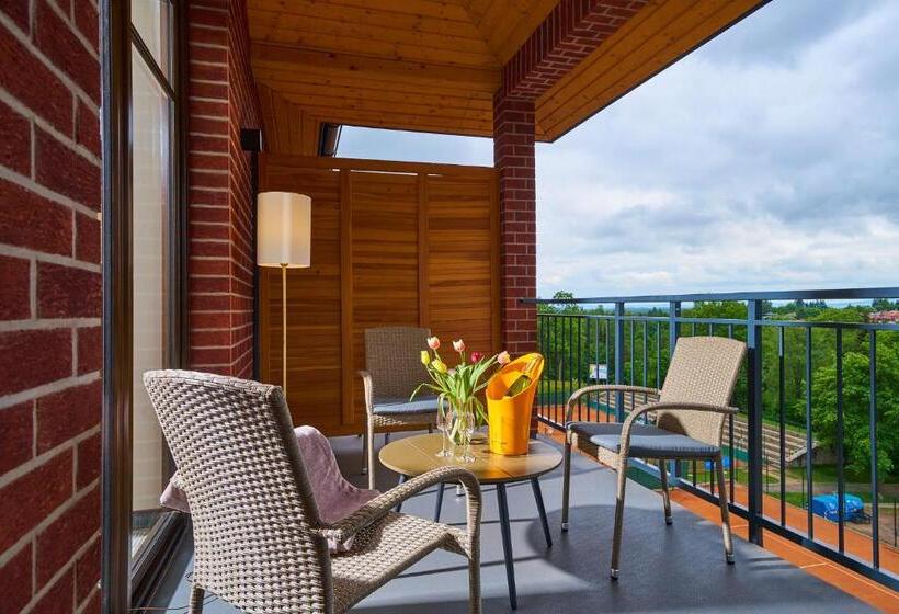 Suite with Terrace, Wellness Hotel Queens
