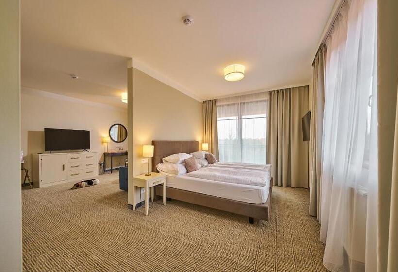 Suite with Terrace, Wellness Hotel Queens