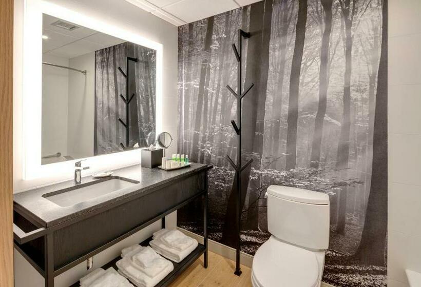带大床的标准工作室, Peaks Hotel And Suites