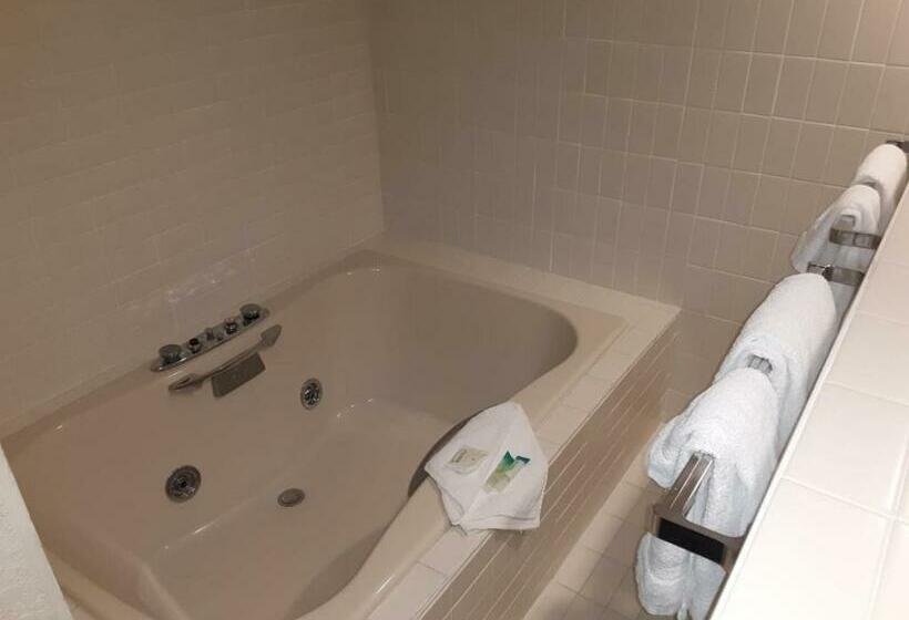 سوئیت با وان آب گرم, Eleven Boutique Hotel Llc
