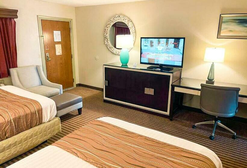 اتاق استاندارد, Eleven Boutique Hotel Llc