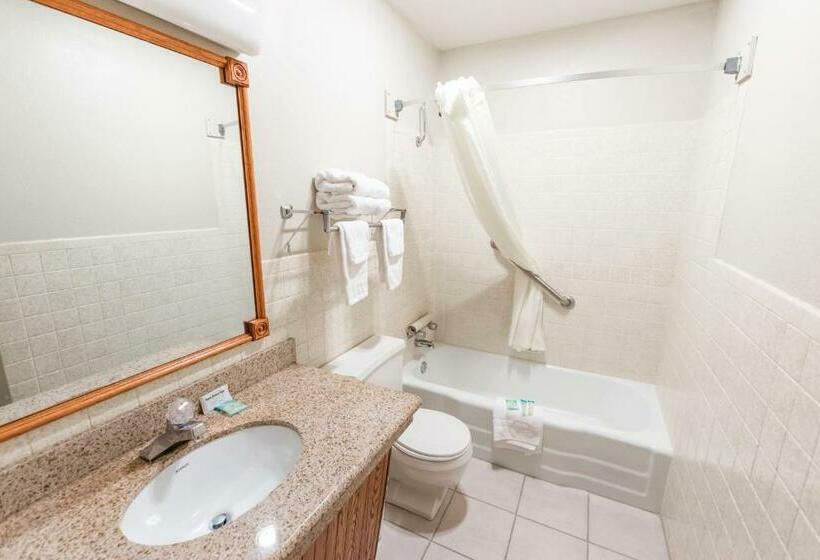 سوئیت با وان آب گرم, Eleven Boutique Hotel Llc