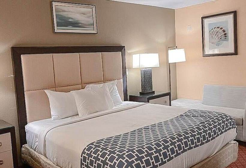 اتاق استاندارد, Eleven Boutique Hotel Llc