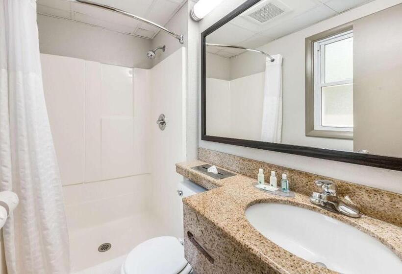اتاق استاندارد با تخت بزرگ, Quality Inn Poughkeepsie