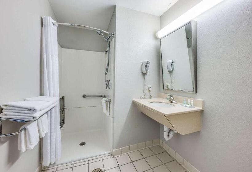 اتاق استاندارد با تخت بزرگ برای معلولان, Quality Inn Poughkeepsie