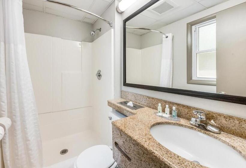 اتاق استاندارد با تخت بزرگ, Quality Inn Poughkeepsie