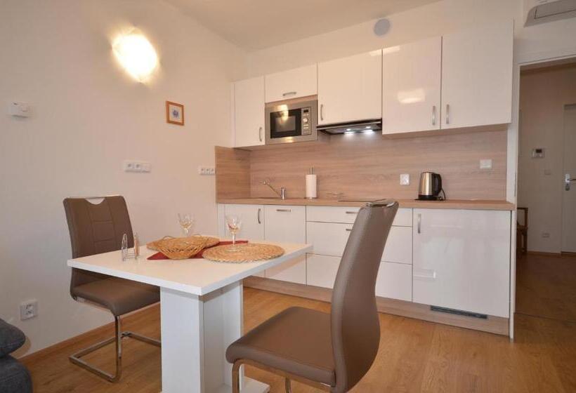 带1个卧室的公寓, Apartmány Viva Třeboň